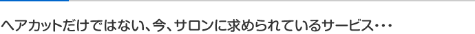 ヘアカットだけではない、今、サロンに求められているサービス・・・